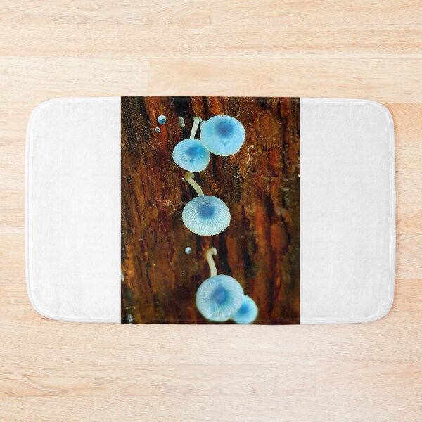 Item preview, I believe in fairies  designed and sold by sarah ward.