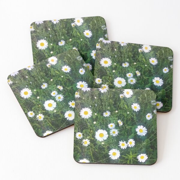 Item preview, Shasta Daisies designed and sold by BellsPainting.
