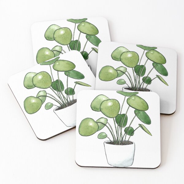 Item preview, Pilea Peperomioides Plant designed and sold by Markami.