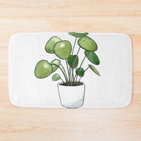 Item preview, Pilea Peperomioides Plant designed and sold by Markami.