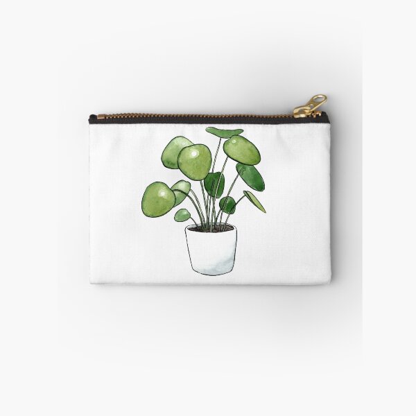Item preview, Pilea Peperomioides Plant designed and sold by Markami.