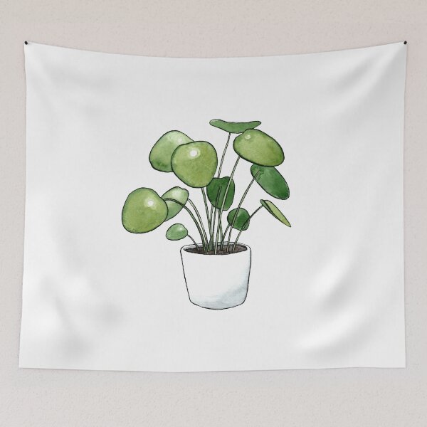 Item preview, Pilea Peperomioides Plant designed and sold by Markami.