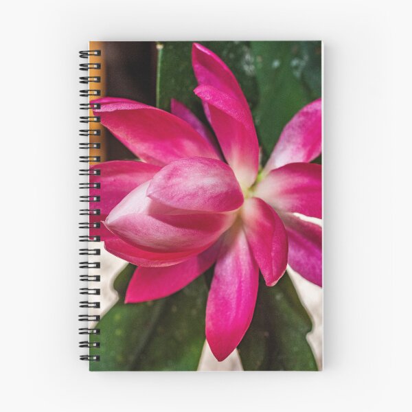 Item preview, Pink Orchid Cactus Macro designed and sold by Bryan Spellman.