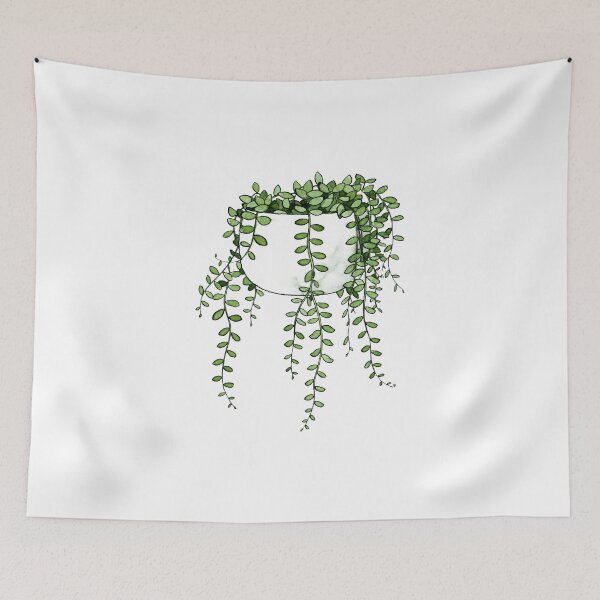 Item preview, String Of Pearls Plant designed and sold by Markami.