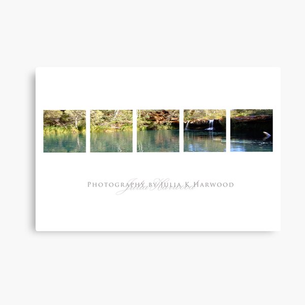 Fern Pool, Karajini Canvas Print