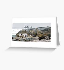 Birds of a Feather Greeting Card