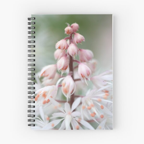 Item preview, Tiarella designed and sold by sarah ward.