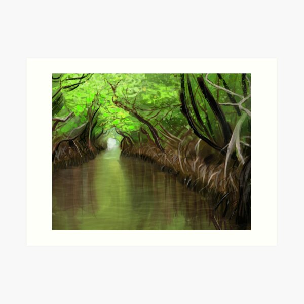 Mangroves in the Everglades Art Print