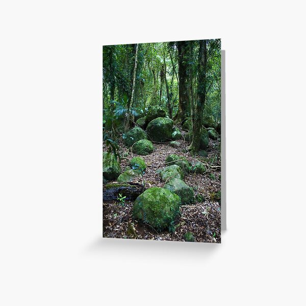 Item preview, Mossy Boulders - Springbrook N.P designed and sold by Jordan Miscamble.