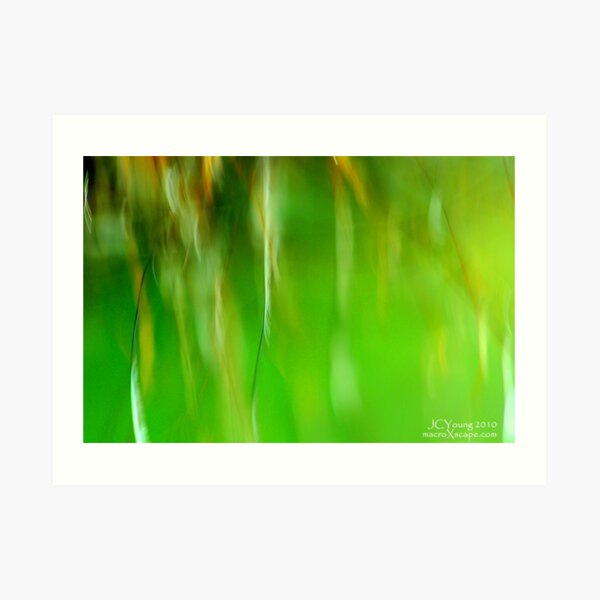 Field of Green Art Print