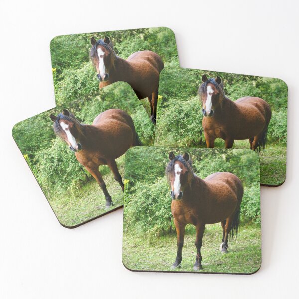 Item preview, Beautiful Small Brown Horse / Pony In Field designed and sold by Harmony Of The Mind.