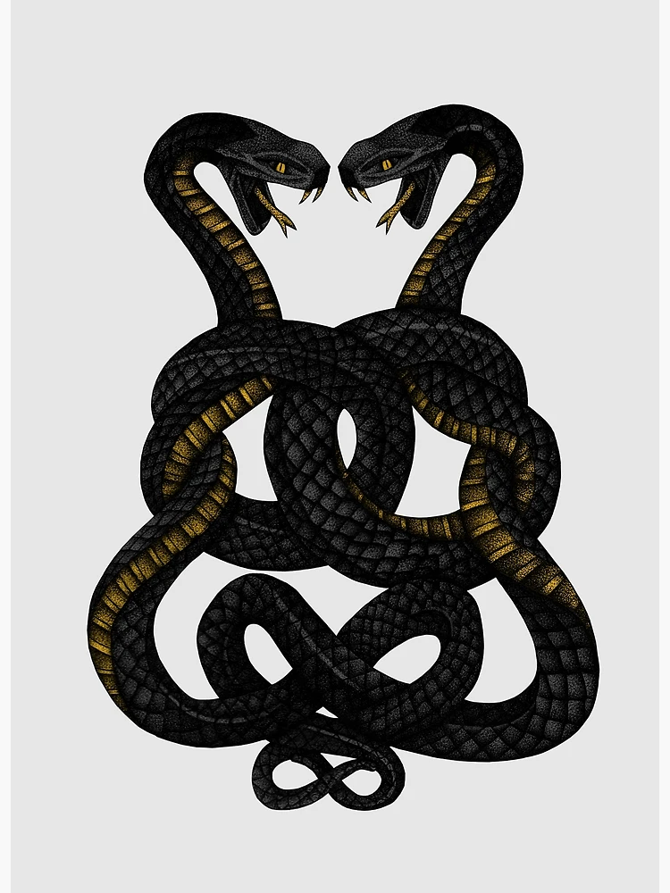 【廃盤】SNAKES,THE QONOS vs SNAKES How BIG are SNAKES? 🐍 Real vs Movie Serpents | EPIC Size