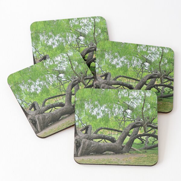 Item preview, The Tree at Mission San Juan designed and sold by Michiale.