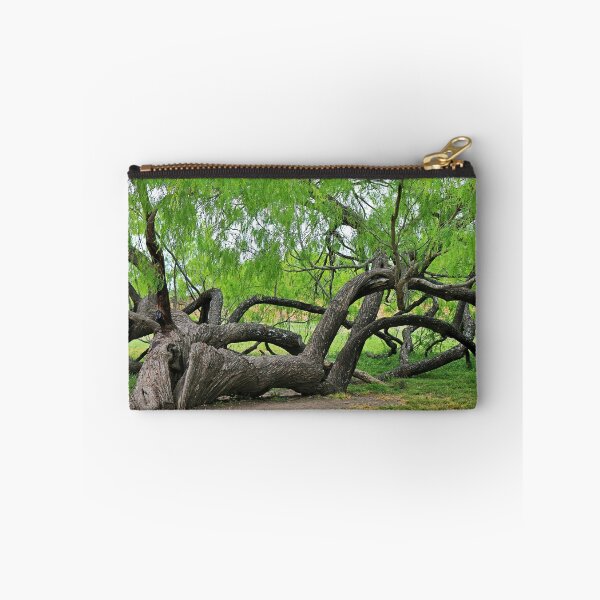 Item preview, The Tree at Mission San Juan designed and sold by Michiale.