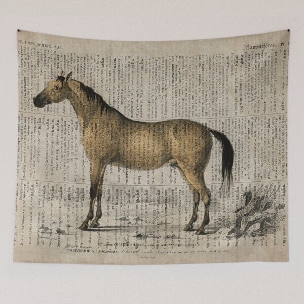 Item preview, Horse Dictionnaire Universel D'histoire Naturelle designed and sold by fishercraft.