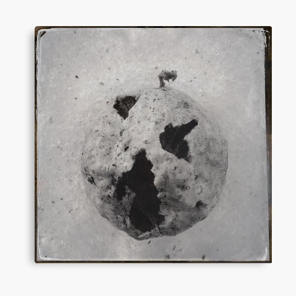 Found Treasure Canvas Print