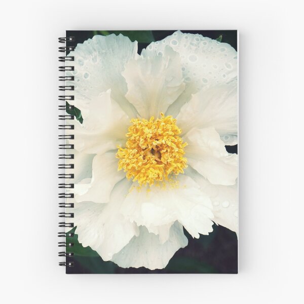 Item preview, Morning dew designed and sold by Terry Sautter.