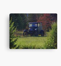 Woodland Cruiser Canvas Print