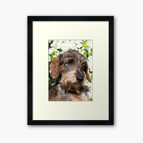 Piper Framed Art Print