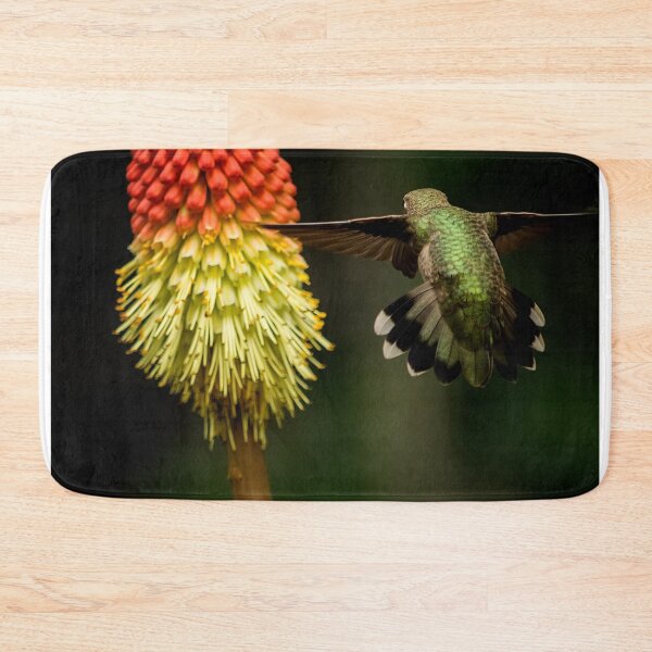 Item preview, Keeping Your Eyes On The Prize - Bird Art designed and sold by Jordan Blackstone.