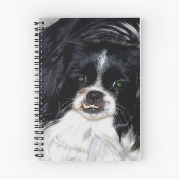 Item preview, Snaggle tooth designed and sold by B. Randi Bailey.