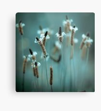 ...sparklers... Metal Print