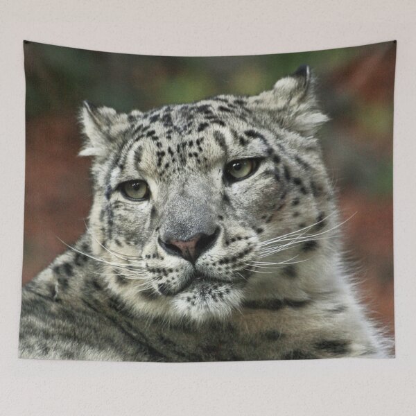 Item preview, Leopard 001 designed and sold by JAMFoto.