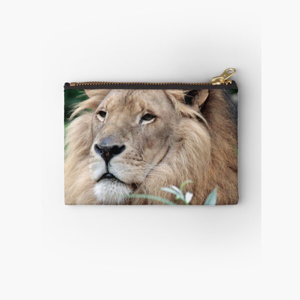 Item preview, Lion 021 designed and sold by JAMFoto.