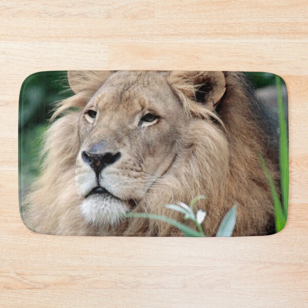 Item preview, Lion 021 designed and sold by JAMFoto.