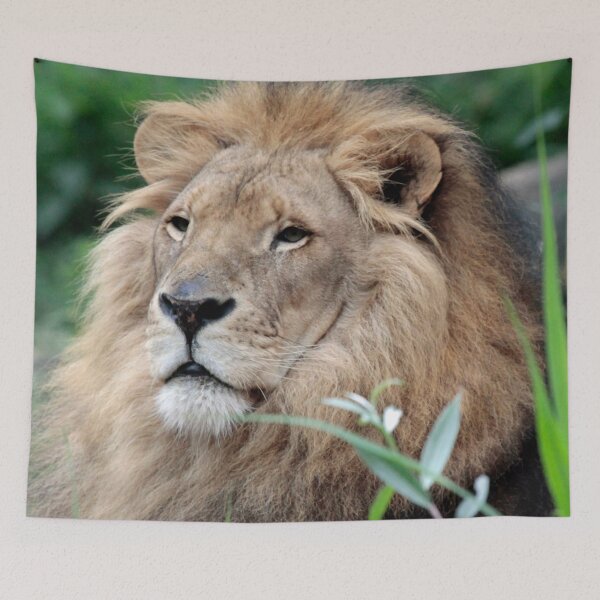 Item preview, Lion 021 designed and sold by JAMFoto.
