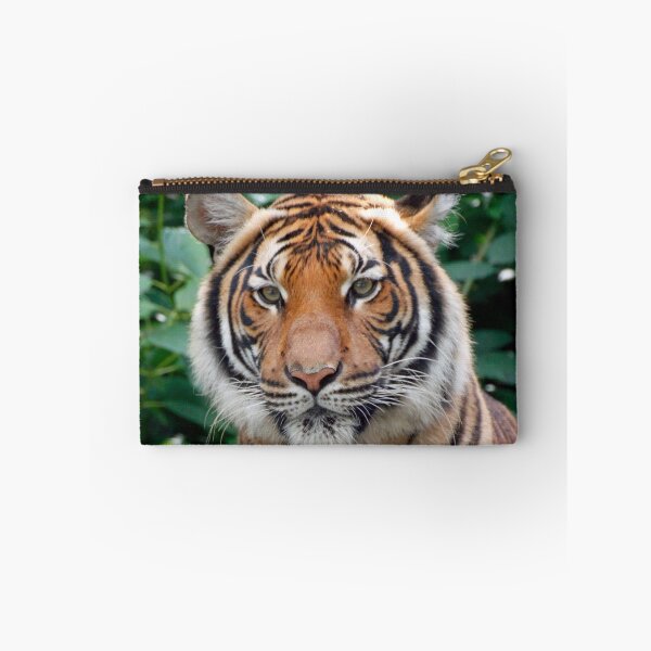 Item preview, Tiger 001 designed and sold by JAMFoto.