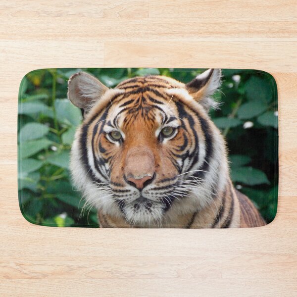 Item preview, Tiger 001 designed and sold by JAMFoto.