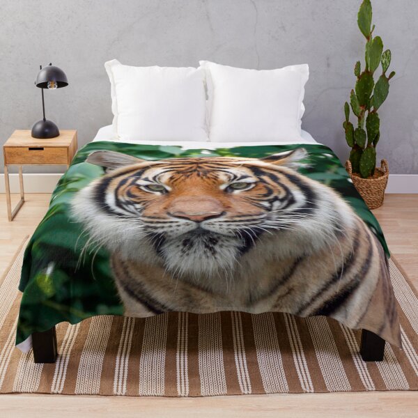 Item preview, Tiger 001 designed and sold by JAMFoto.