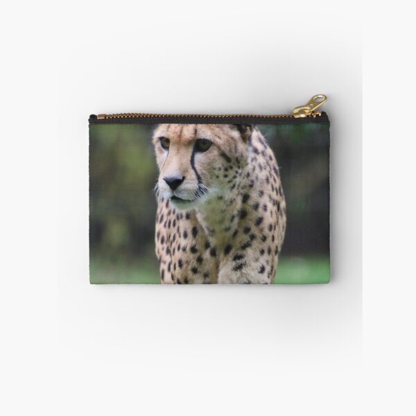 Item preview, Cheetah 010 designed and sold by JAMFoto.