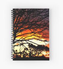 Sunset and tree silhouettes Spiralblock