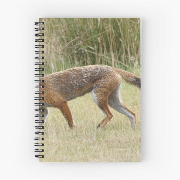 Item preview, Red Fox designed and sold by MendipBlue.