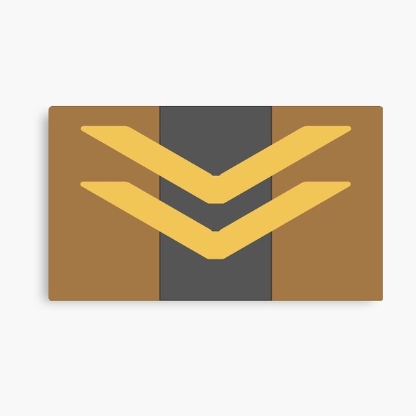 Starbound Apex Flag Canvas Print
