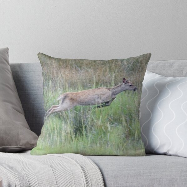 Item preview, Young Sika Deer designed and sold by MendipBlue.