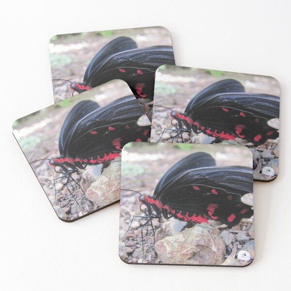 Item preview, Black Beauty designed and sold by KensLensDesigns.