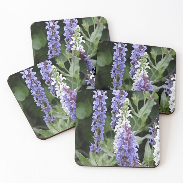 Item preview, Salvias designed and sold by Ladydi.