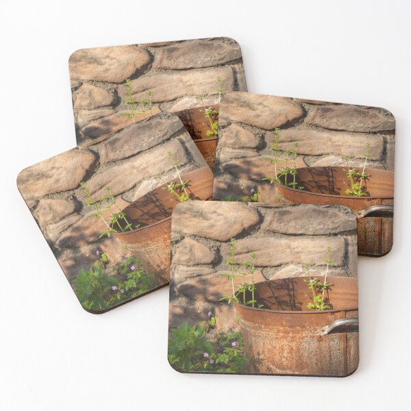 Item preview, Rusty Bin With Weeds Close Up designed and sold by shane22.
