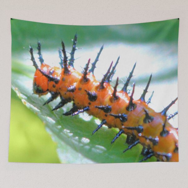 Item preview, Gulf Fritillary Caterpillar  designed and sold by What I See by Dawne.