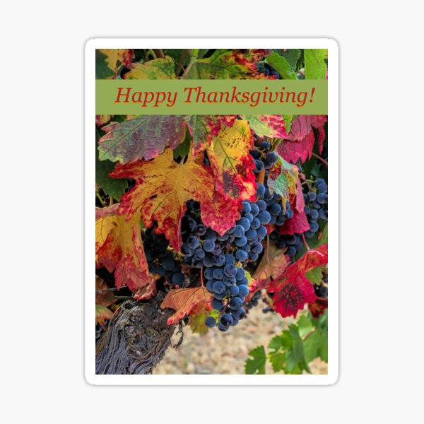 Item preview, Autumn Fall Wine Vineyard Happy Thanksgiving designed and sold by Stephanie Laird.