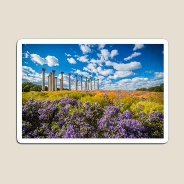 Item preview, United States National Arboretum designed and sold by Hannah-Ratcliff.