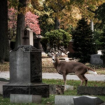 Artwork thumbnail, Guarding the dead by ROBERT NIEDERRITER