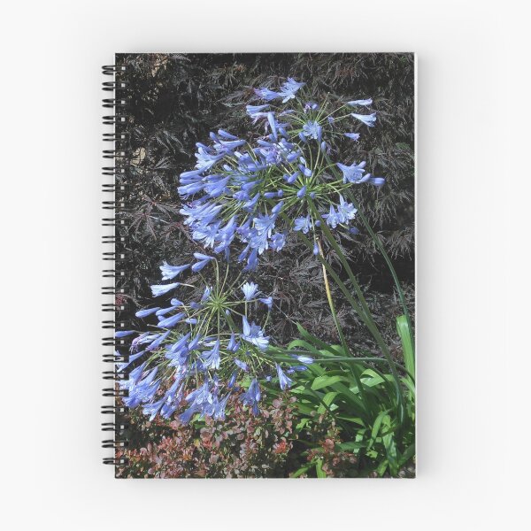 Item preview, Sunlit Blue Nile Lilies designed and sold by EasterDaffodil.
