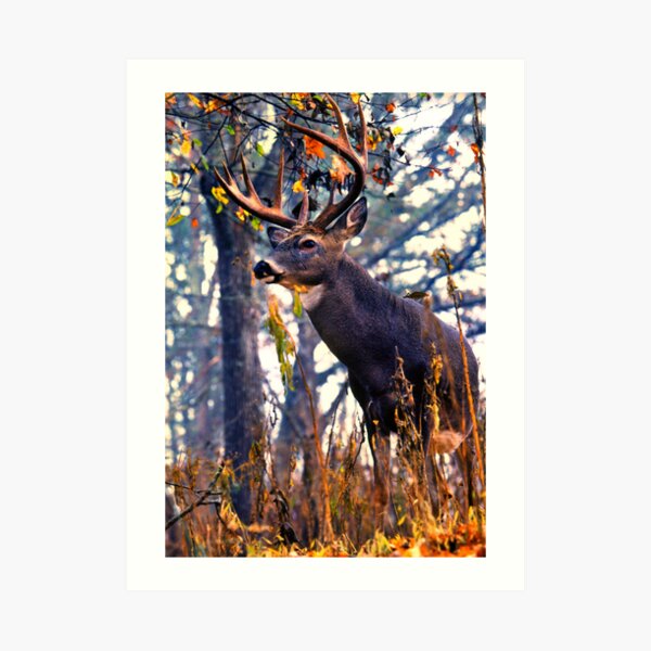 Dusk Arrival 2 Art Print