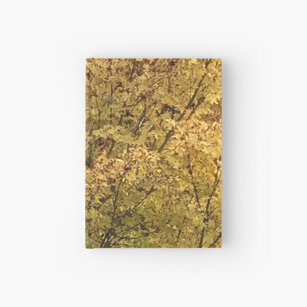 Fall Colors Hardcover Journal
