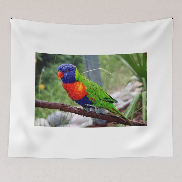 Item preview, Cuteness Overload designed and sold by Cynthia48.