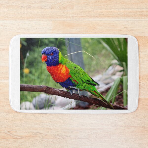 Item preview, Cuteness Overload designed and sold by Cynthia48.
